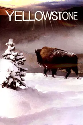 Legendäre Wildnis - Foto: TMDB Legendäre Wildnis - Foto: TMDB