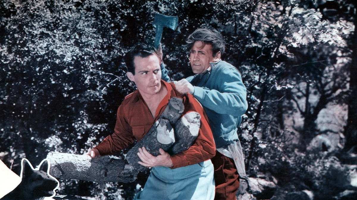 Rin Tin Tin Rin Tin Tin