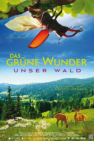 Das grüne Wunder - Unser Wald - Foto: TMDB