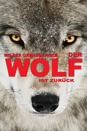 Wilder Grenzgänger - Der Wolf ist zurück - Foto: TMDB