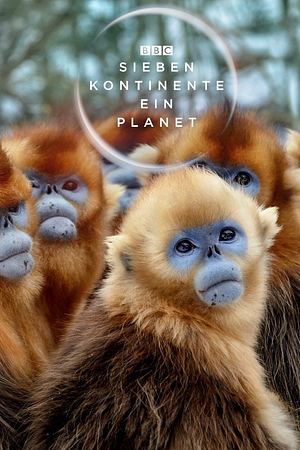 Sieben Kontinente - Ein Planet - Foto: TMDB