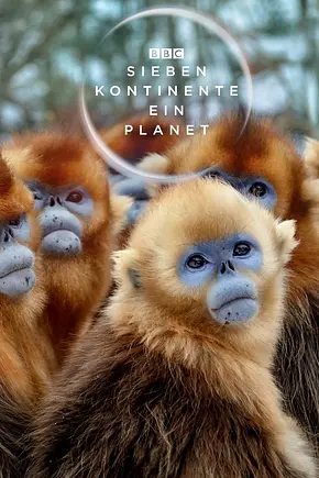 Sieben Kontinente - Ein Planet - Foto: TMDB