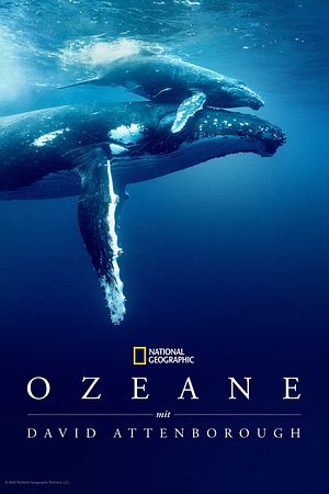 Ozean mit David Attenborough - Foto: TMDB