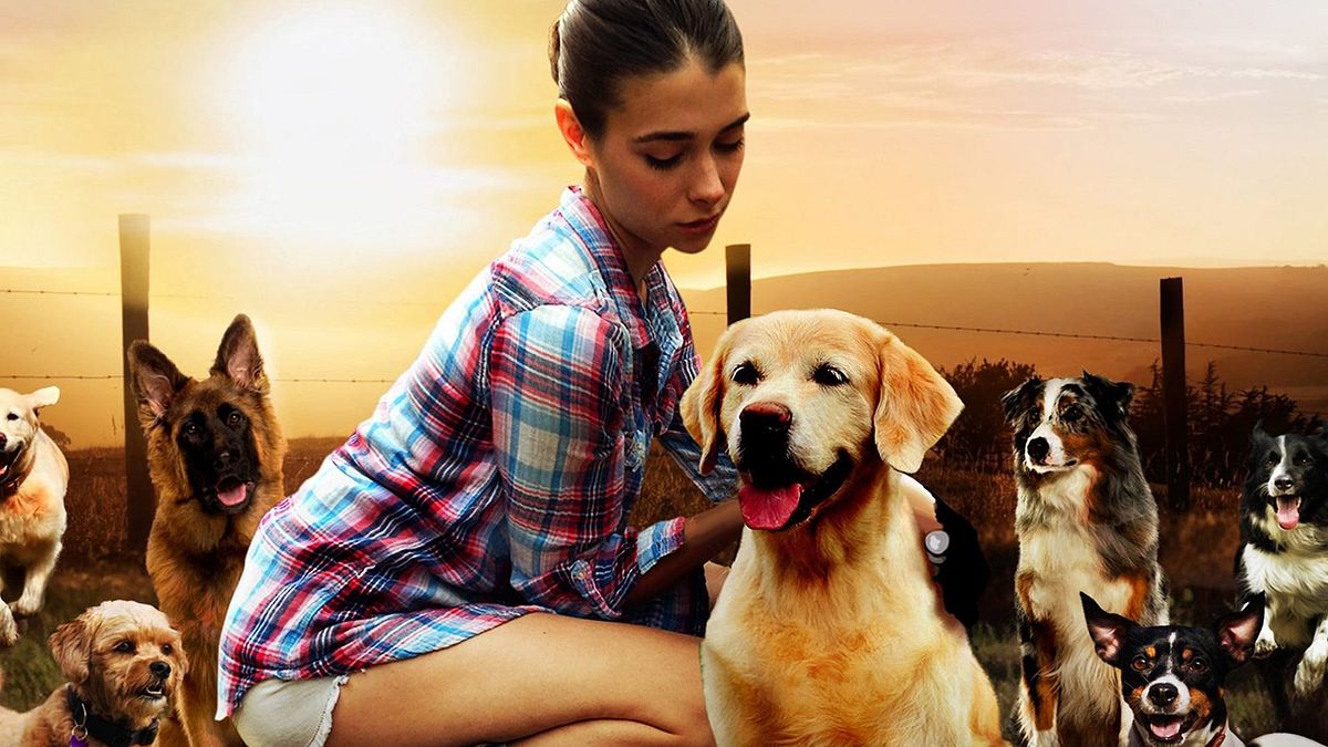 Dog Lover Dog Lover