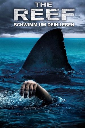 The Reef - Schwimm um dein Leben - Foto: TMDB